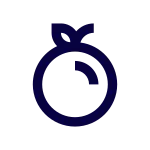 Orange SVG Icon
